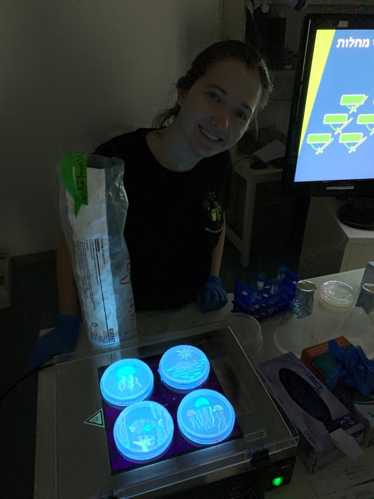Researchers Night 2019 - 4